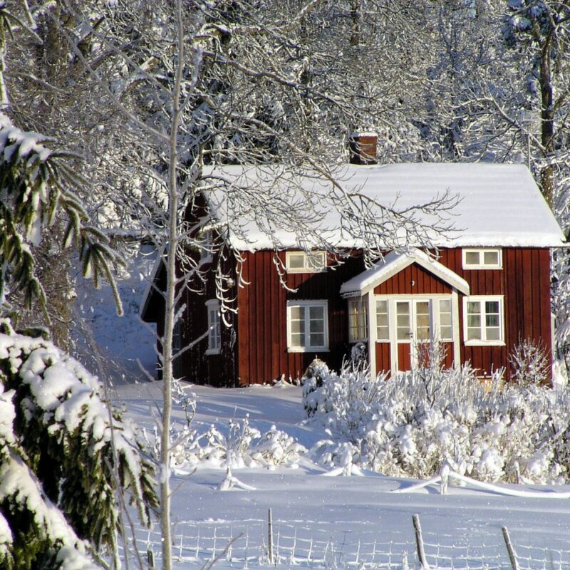 Garden Design in Winter