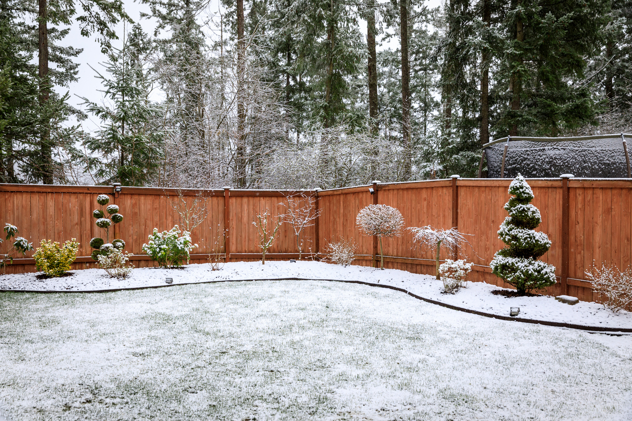 10 Winter Garden Care Tips