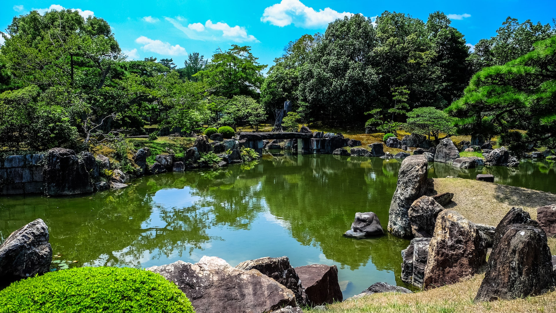 Enjoying outdoor living: Helping nature with your Garden